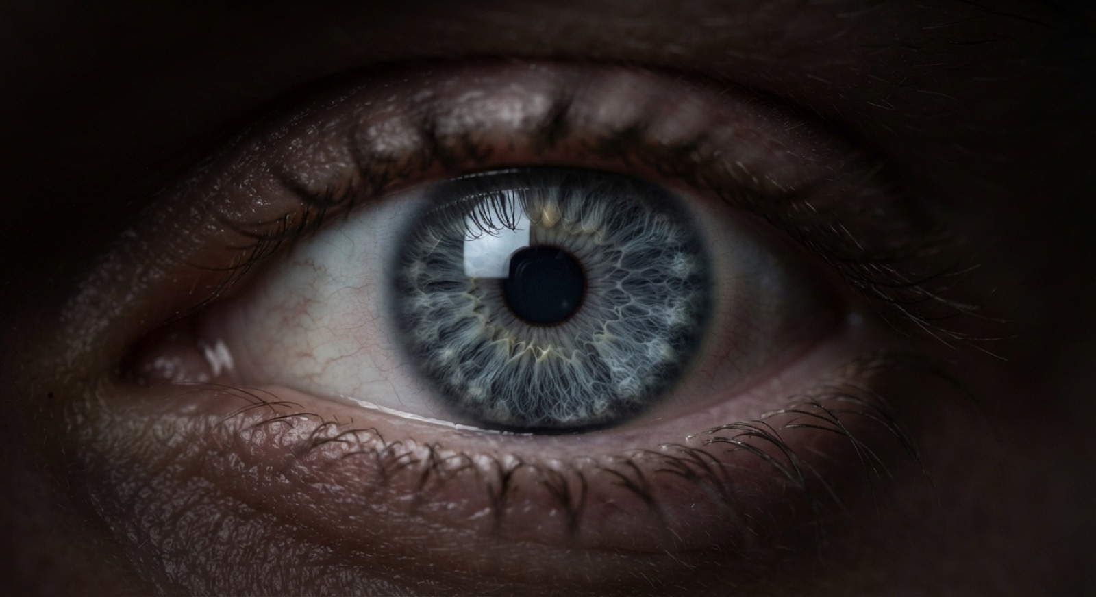 Fig. 1 — at a large output size the iris, lashes and skin are drawn in full. Every one of those details is the model's invention, not a measurement.